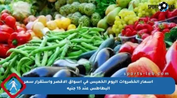 أسعار الخضروات اليوم الخميس في أسواق الأقصر واستقرار سعر البطاطس عند 15 جنيه
